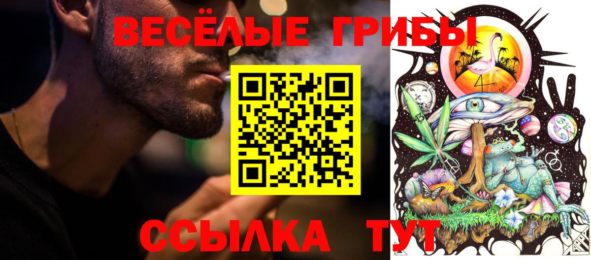 Елец  Галлюциногенные грибы мицелий  Вход с VPN 
