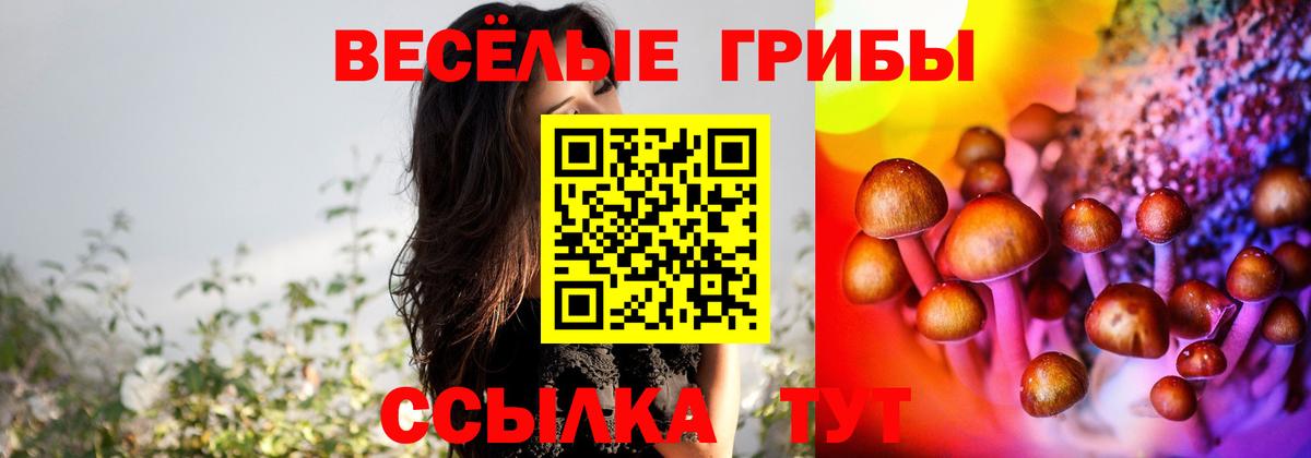 Галлюциногенные грибы ЛСД Елец